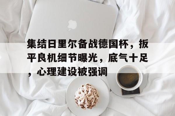 开云娱乐官方入口集结日里尔备战德国杯，扳平良机细节曝光，底气十足，心理建设被强调的简单介绍